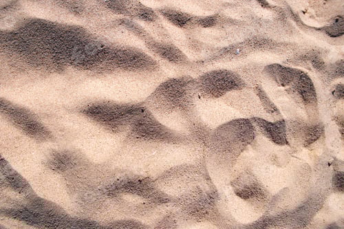 Preview: Flat view of clean yellow sand surface covering seaside beach. Sandy texture