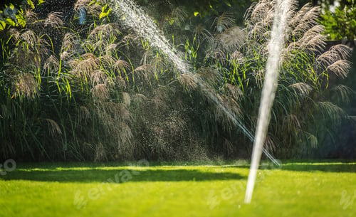 Aperçu: Système d'irrigation par aspersion de jardin résidentiel