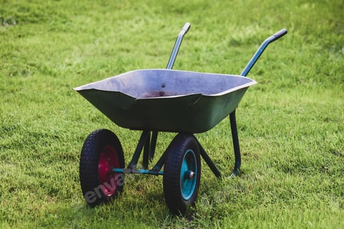 Preview: Old wheel barrow on green lawn