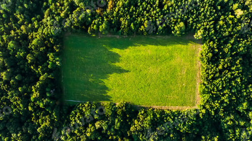 Preview: Green field in the forest, bird's eye view. Eco and nature