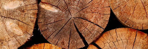 Preview: Woodpile pattern or texture. Round cuts of wood.