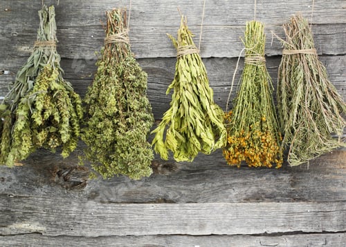 Preview: Variety of dried herbs on an old wooden background