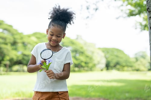 Preview: Smiling African American girl holding magnifying glass to explore and look bugs in flower in park