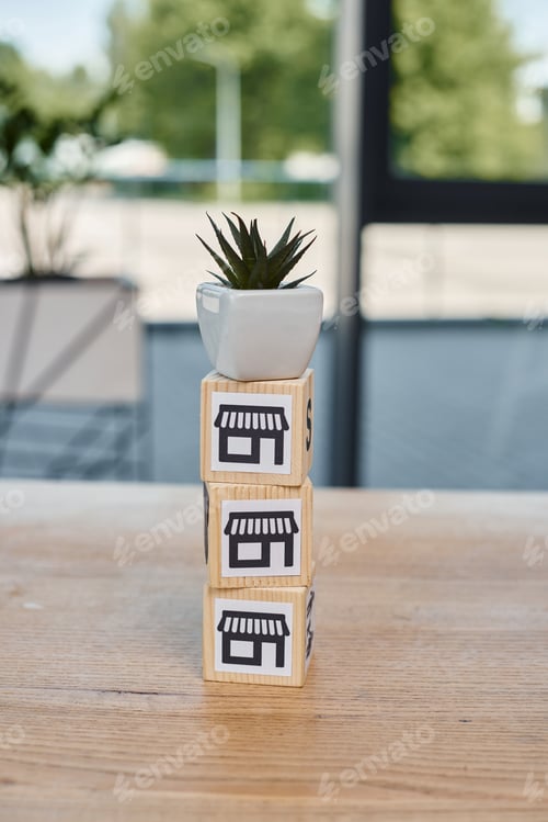 Preview: Blossoming harmony: potted plant on wooden block