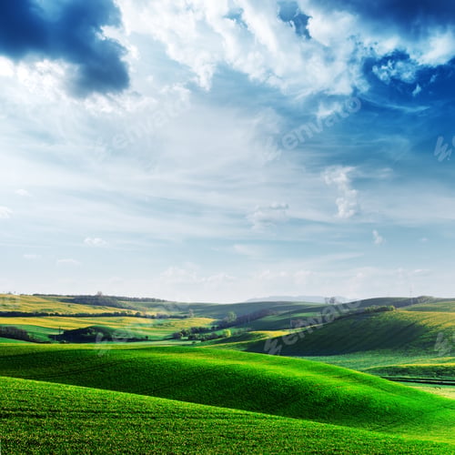 Preview: Picturesque rural landscape with green field and tree