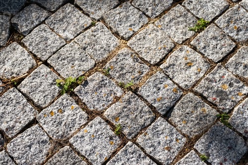 Preview: Stone pavement surface. Cobble stone road texture.