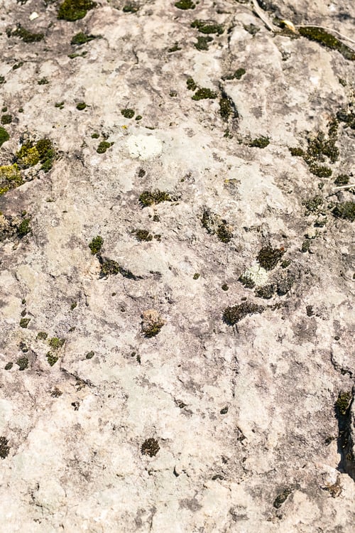 Preview: Natural texture of rocky surface.