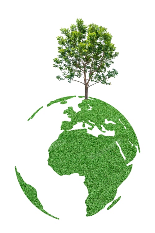 Preview: Tree on green earth isolated on white background. earth day concept