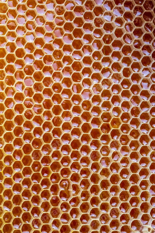 Preview: Natural comb honey, Turkish Karakovan Honey.