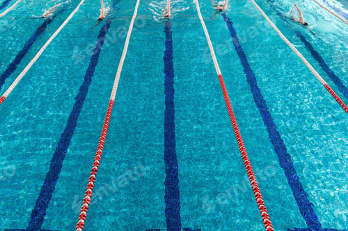 Preview: Five male swimmers racing against each other