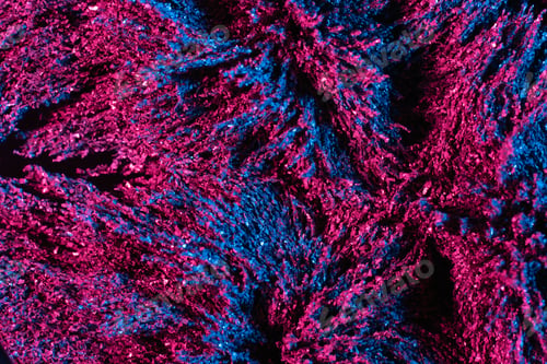Preview: Ferrofluid illuminated with neon light