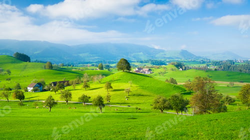 Preview: Fields and pastures in a valley. Animals on the farm. View against the background of the mountains.