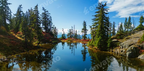 Preview: Lake on top of a Mountain with colorful wild flowers and trees in Fall Season.
