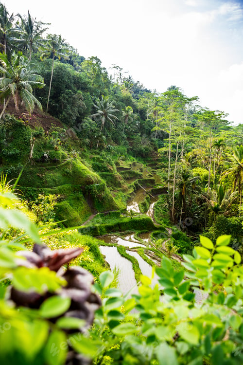 Preview: Never stop exploring our planet.