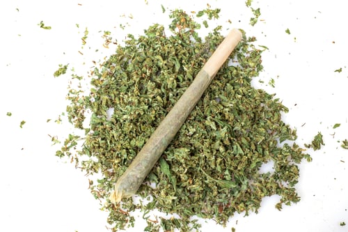 Preview: Pre rolled marijuana together with chopped cannabis buds on white background