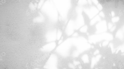 Preview: Shadow Spring on Wall Background,Abstract Overlay Shady Soft Exterior Leaves Tree