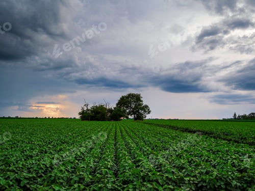 Preview: Agricultural Landscape with Storm Clouds at Sunset