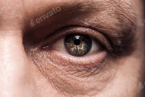 Preview: close up view of mature man eye with eyelashes and eyebrow looking at camera