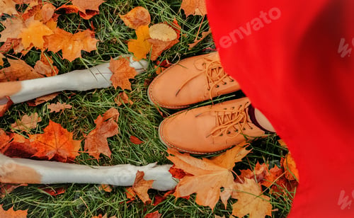 Preview: Dog with owner during autumn walk. Top view dog paws and humans feet.