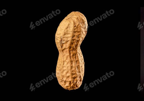 Preview: Dried peanut macro isolated on black background