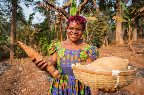 Preview: A smiling peasant woman with her harvest basket in the fields, small business owner in Africa