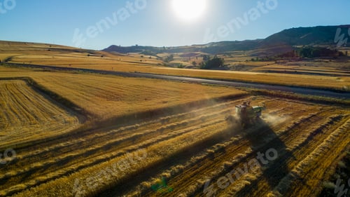 Preview: Combine Harvesting Golden Wheat