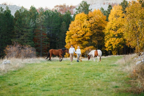 Preview: Couple walks on the lawn in the autumn forest, holding hands. Horses graze on the lawn. A woman