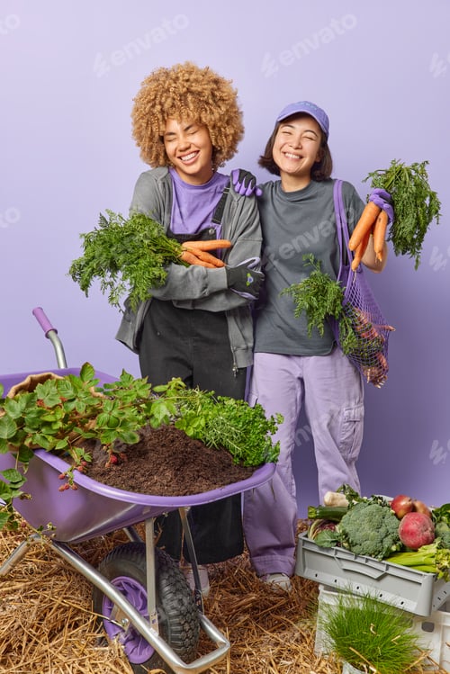 Preview: Overjoyed busy women farmers pose with fresh carrots happy to have good harvest collect crops stand