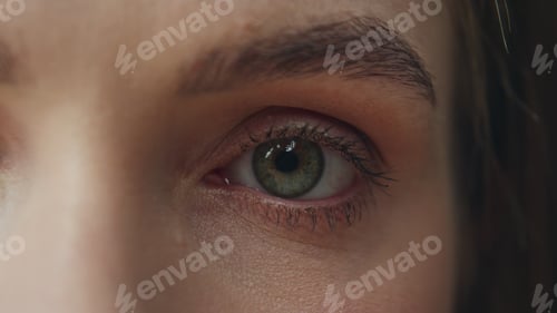 Preview: Macro woman eye looking camera videotaping in atelier. Girl green eyes blinking