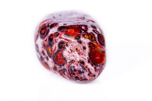 Preview: Macro mineral stone Jasper leopard on white background