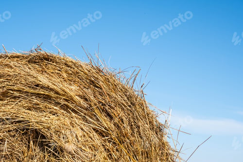 Preview: Straw Bale Against Blue Sky, Close Up. Agriculture or Harvesting Concept.
