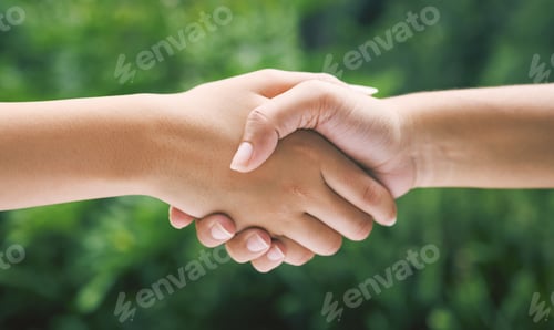 Preview: Closeup of a handshake in nature. Two diverse peoples hands greeting. Partners making an agreement