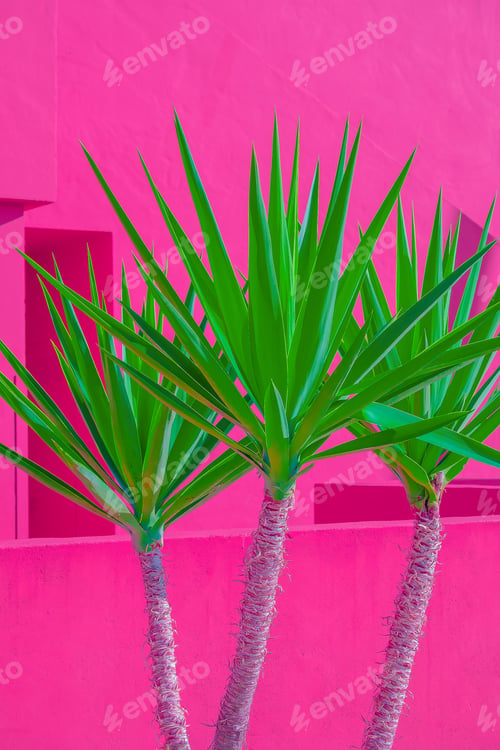 Preview: Plants on pink fashion