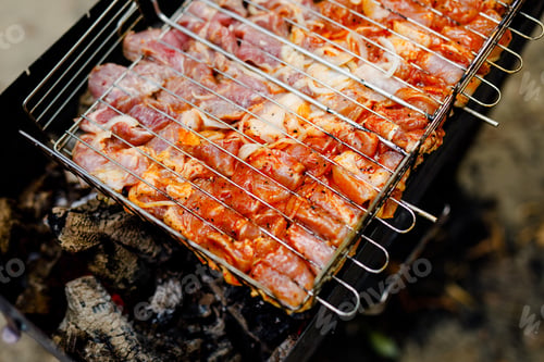 Preview: Fresh meat with spices on bbq on backyard