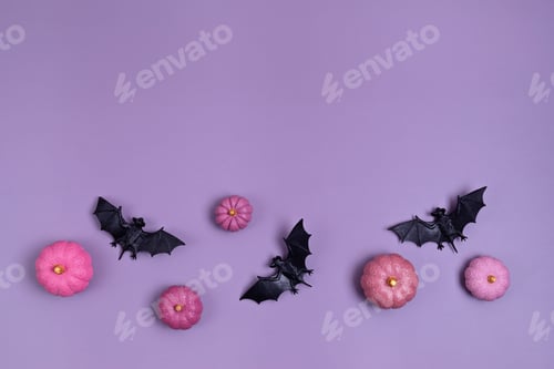 Preview: Top view of Halloween decoration. Party, invitation, halloween decoration concept