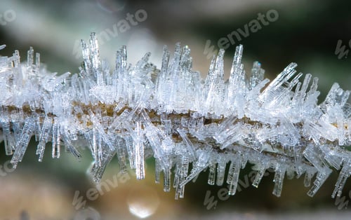 Preview: Ice Crystals on a Leaf in New Zealand