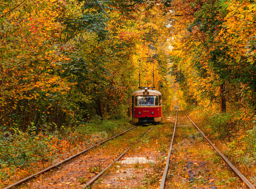 Preview: Autumn forest through which an old tram rides (Ukraine)