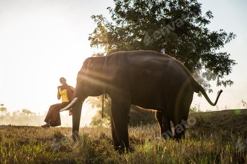 Preview: Elephant and woman in Thailand