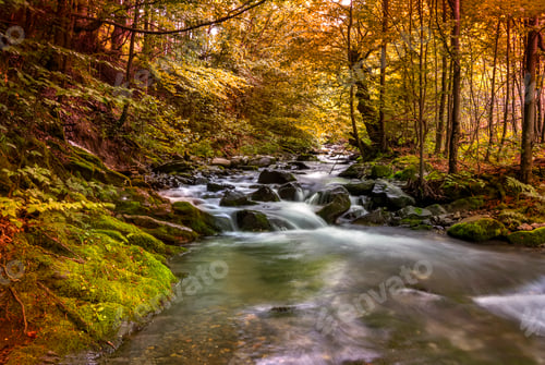 Preview: autumn colors