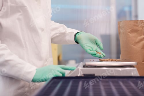 Preview: Man weighing seeds