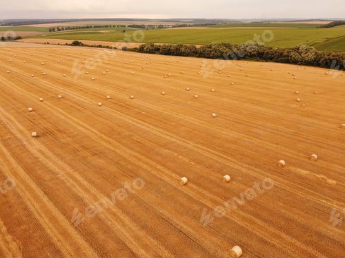 Preview: Aerial view crop wheat rolls of straw in field
