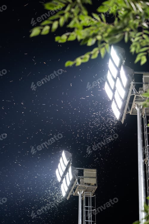 Preview: Swarm of insects and mosquitoes around the lamp of an electric spotlight at night outdoors