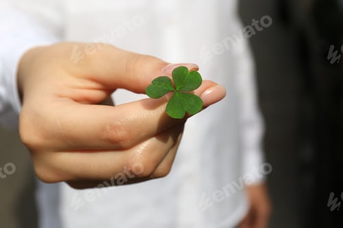 Preview: Woman holding green clover leaf, closeup view