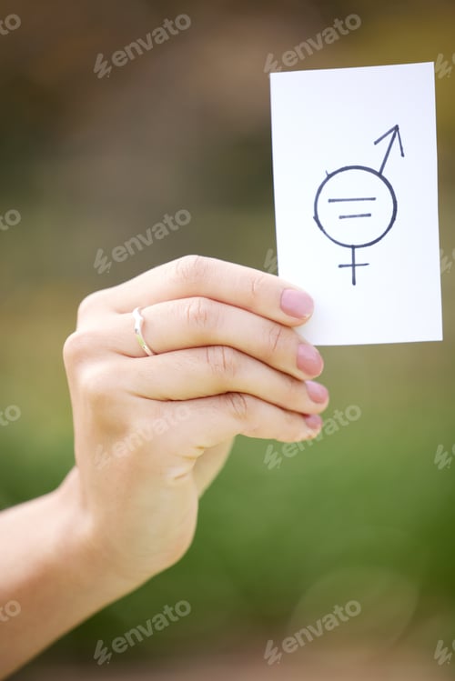 Preview: A feminist is anyone who recognizes the equality