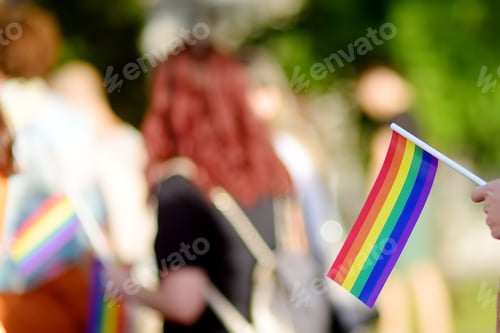 Preview: Rear view of people column during the Lgbt Pride Parade. Crowd on the city street with rainbow flag.