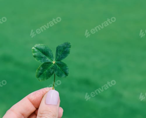 Preview: Woman is holding a four leaf clover against green background. Feeling lucky. Space for copy, text