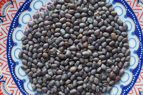 Preview: Black gram beans displayed on colorful patterned plate