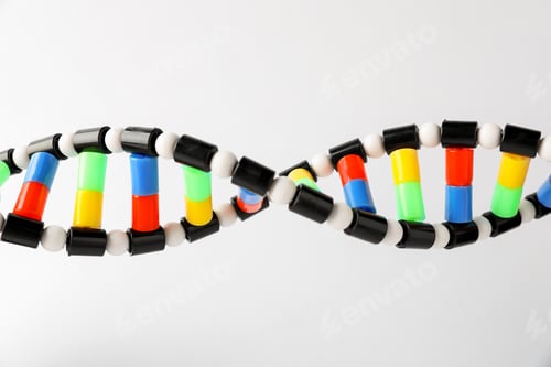 Preview: DNA structure model on light background, closeup