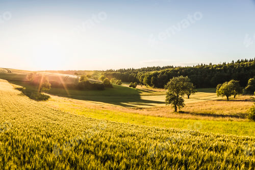 Preview: Rural scene, Neulingen, Baden-Württemberg, Germany