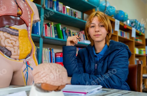 Preview: Student studying biology anatomy with human body models